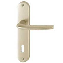 Poignée De Porte Clé En L SAN DIEGO Hoppe Alu Finition Champagne 3537997