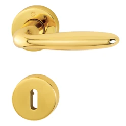 Ensemble Sur Rosace Clé En L Verona Hoppe En Laiton Poli 2811595