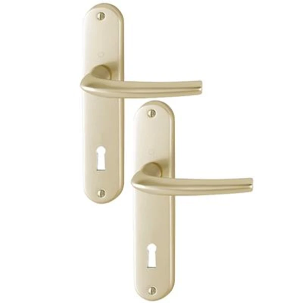 Poignée De Porte Clé En L SAN DIEGO Hoppe Alu Finition Champagne 3537997 3 Poignée De Porte Clé En L SAN DIEGO Hoppe Alu Finition Champagne 3537997 - Image 3