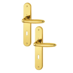 Poignée De Porte Clé En L Verona Hoppe En Laiton Poli 2811042